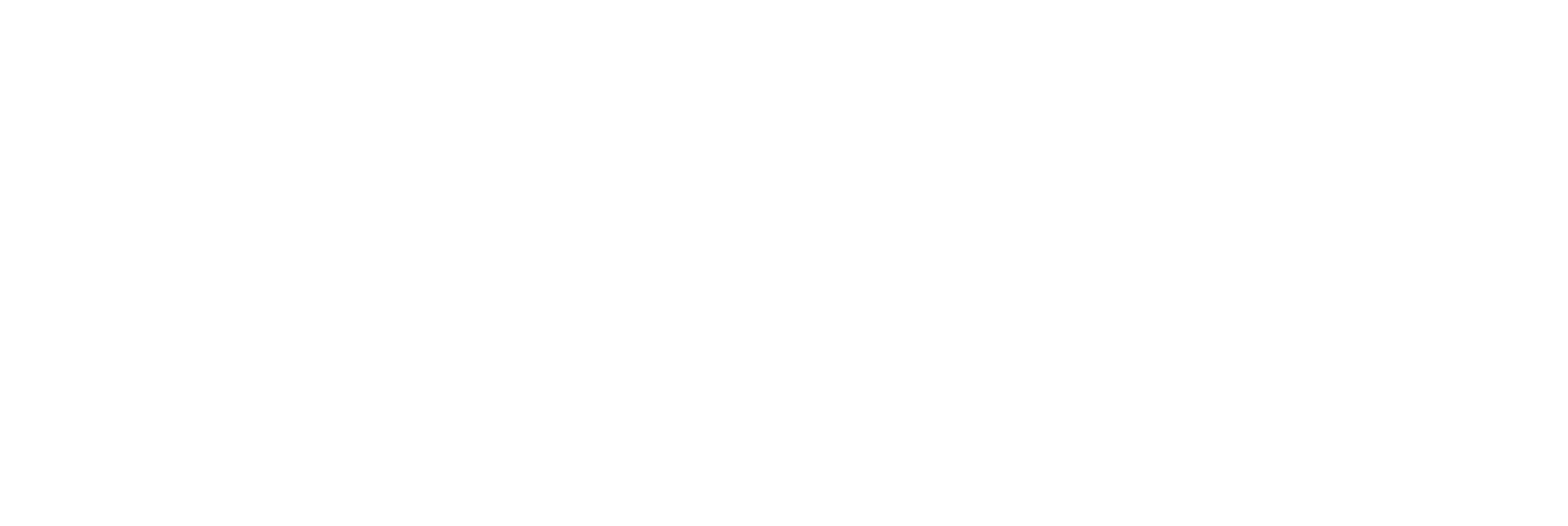 AIMVS logo